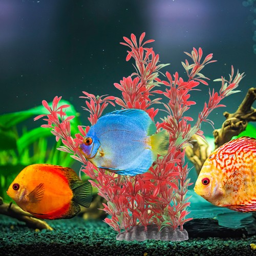 Piante acquario in plastica - ,