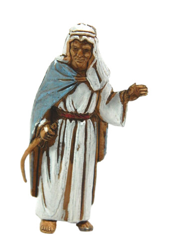 Pastore cammelliere arabo con - pastore,