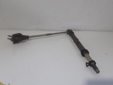 CANNA DELLO STERZO (PIANTONE)