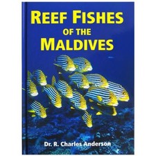 Reef Fishes of The Maldives