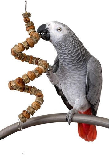 Uccellino grande pollici - uccellino,