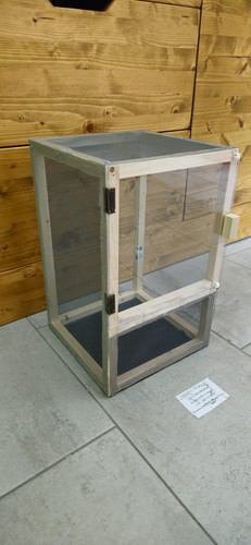 Teca terrario gabbia insetti