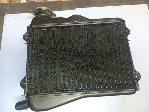 Yamaha 350 4l0 radiator - rd,