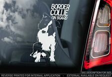 Adesivo auto Border Collie -