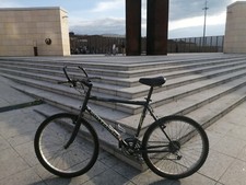 Mountain Bike uomo Bottecchia