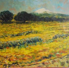 Dipinto dell'artista Antonio
