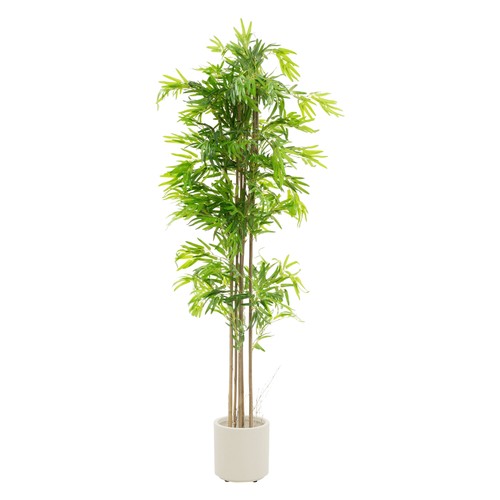 Bambù artificiale pianta