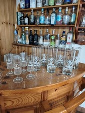 Set 10 Bicchieri Jägermeister