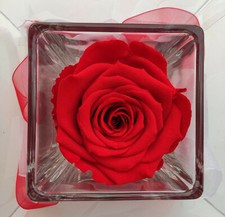 IDEA REGALO Rosa stabilizzata Rossa in vasetto di vetro trasparente 12cm x 12cm