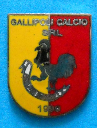 Distintivo spilla pin badge - spilla,