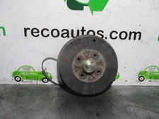 55701515 fusello posteriore