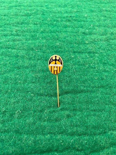 Pin spilla valencia - pin, fc