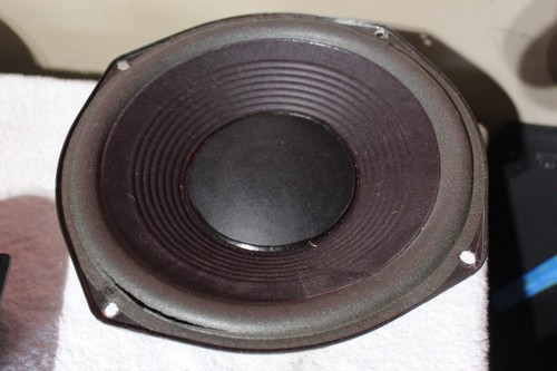 Woofer per altoparlanti