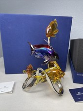 Swarovski Cristallo Paradiso