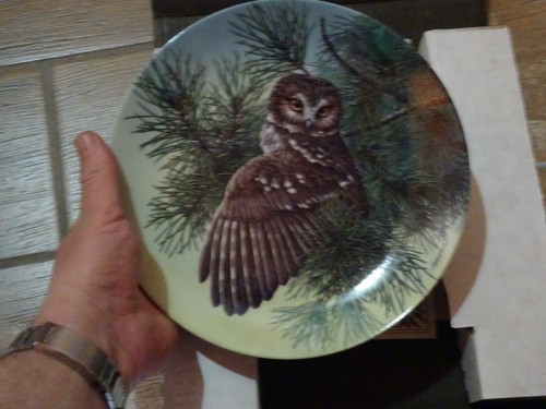 Piatto ceramica artistica - piatto,