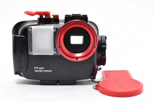 Near mint olympus - mint],