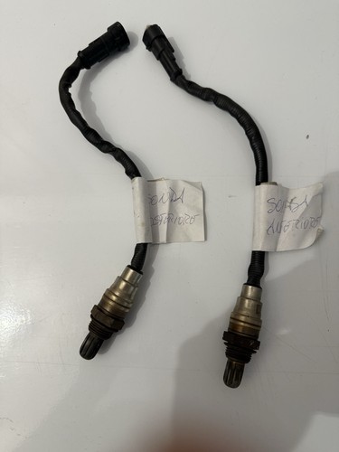 Coppia sonda lambda harley - sonda,