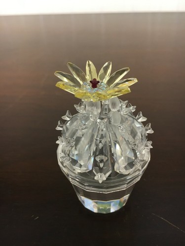 Cactus cristallo di - 1,