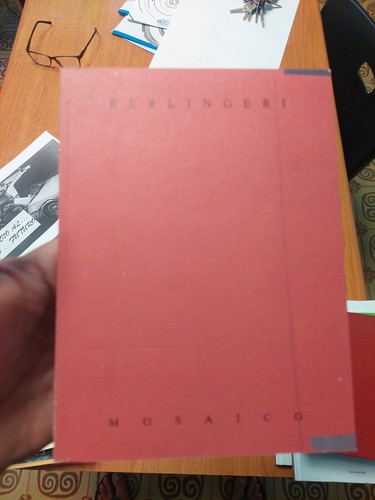 Libro cesare berlingeri - cesare,