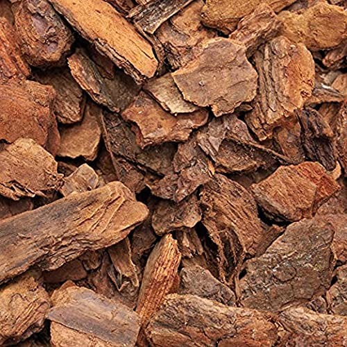 Argan corteccia pino per - pino,