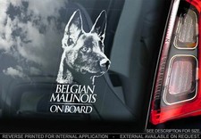 Adesivo auto belga Malinois -