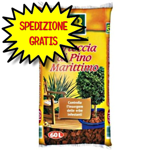 Corteccia pino marittimo - pino, 25