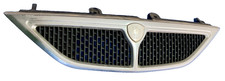 Mascherina griglia paraurti - mascherina,