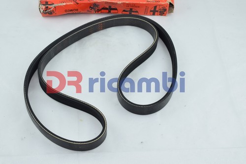 Cinghia poly gole alfa - cinghia, v