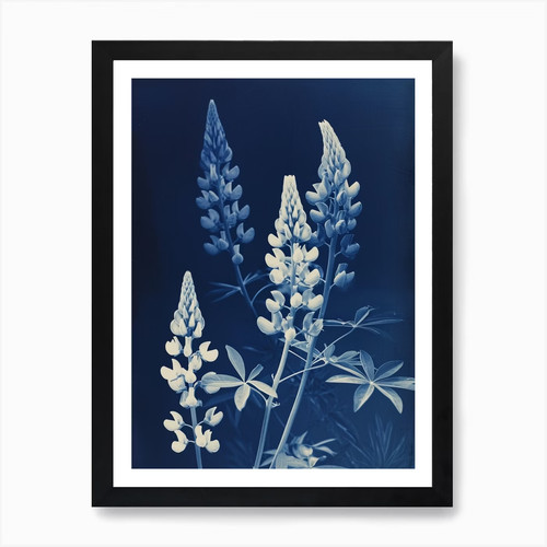Stampa artistica tempo - , di
