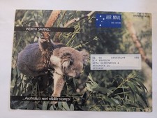Australia koala busta - koala,