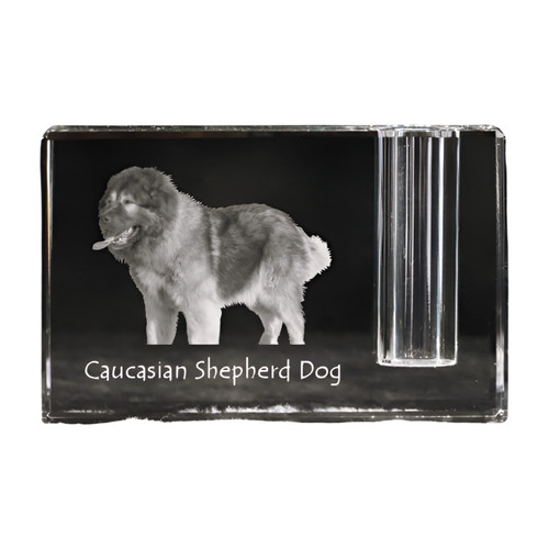 Cane pastore del caucaso - del,