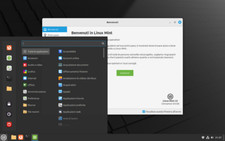 DVD Linux Mint 22 Cinnamon simile a Windows  64 bit