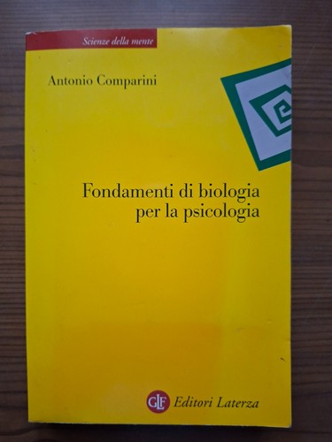 Antonio comparini fondamenti - antonio,