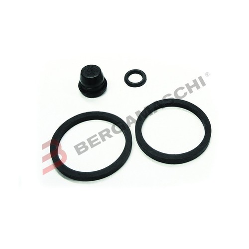 Kit revisione pinza - revisione, per