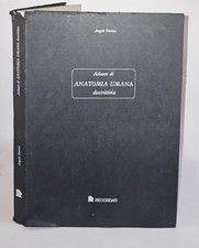 Atlante di anatomia umana