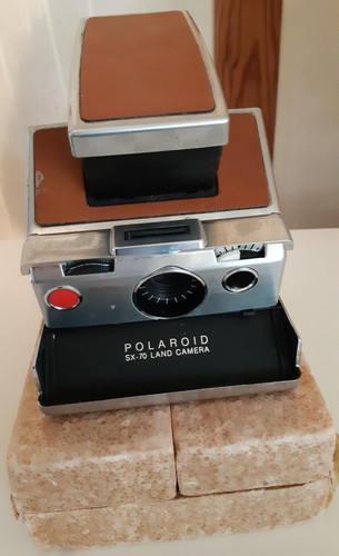 Beau polaroid non - polaroid,