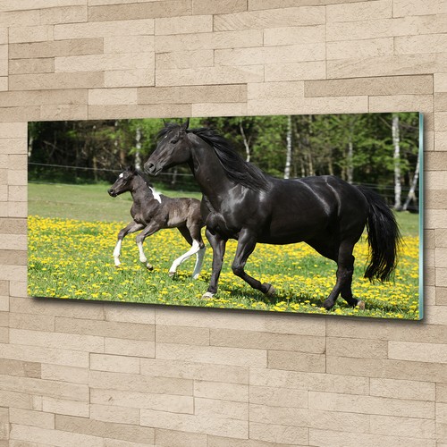 Quadro immagine arte parete - da,