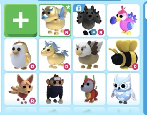 Adopt roblox pets please - me,