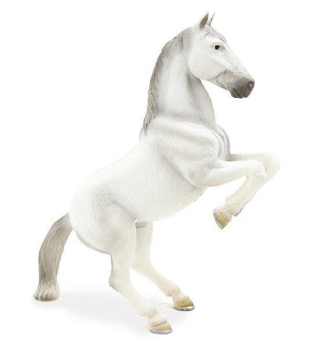 Mojo animali cavalli horses - cavalli,