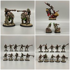 Kroot Armata Dipinta Warhammer