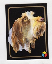 figurina card - AMICI DEL