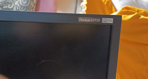 Monitor medicale flexscan - monitor,