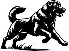 Adesivo KANGAL Karabash Akbash