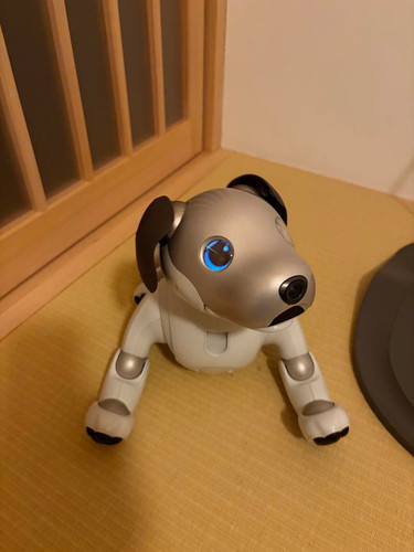 Sony aibo ers 1000 - sony,