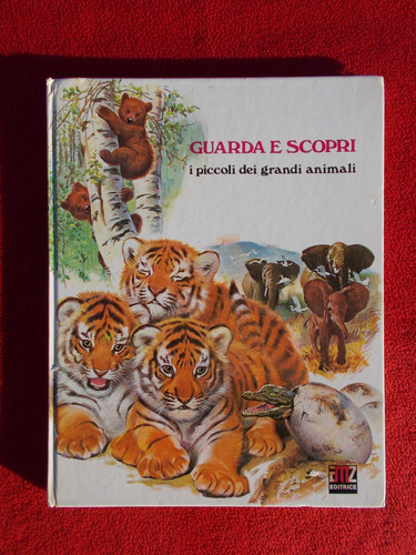 Guarda scopri piccoli dei - guarda, i