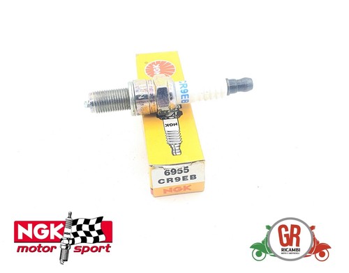 6955 candela ngk - -,
