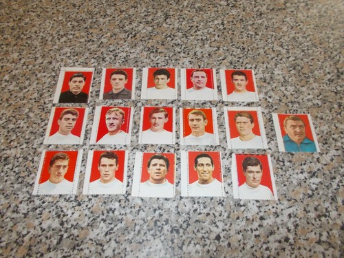 Squadra real madrid - squadra,