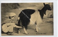 (Gb4248)  MALTA, Maltese Milk