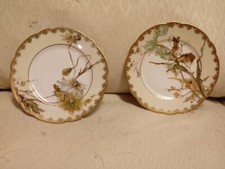 COPPIA PIATTI LIMOGES HAVILAND