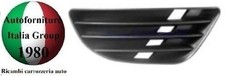 GRIGLIA PARAURTI ANTERIORE